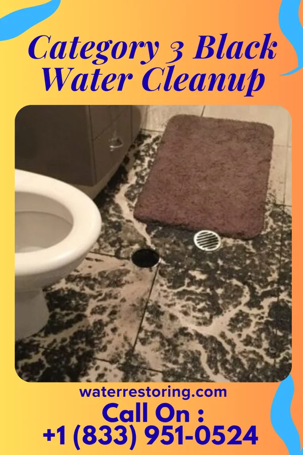 Category 3 Black Water Cleanup in Rochester, IL
