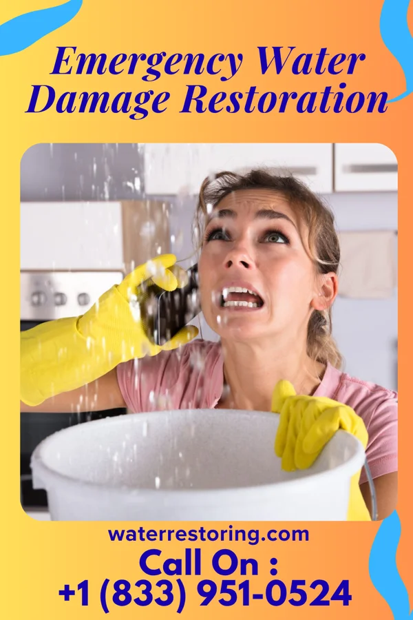 Emergency Water Damage Restoration in Rochester, IL