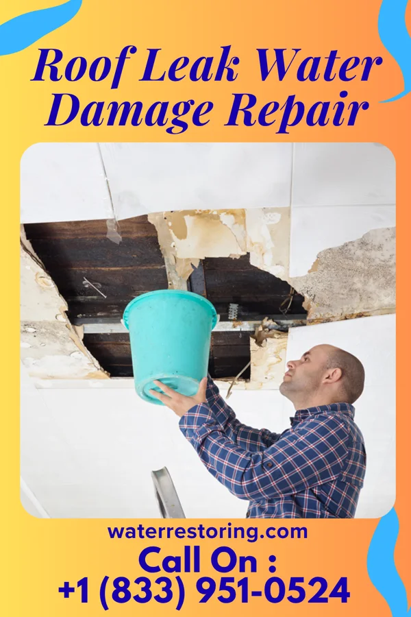 Roof Leak Water Damage Repair in Rochester, IL